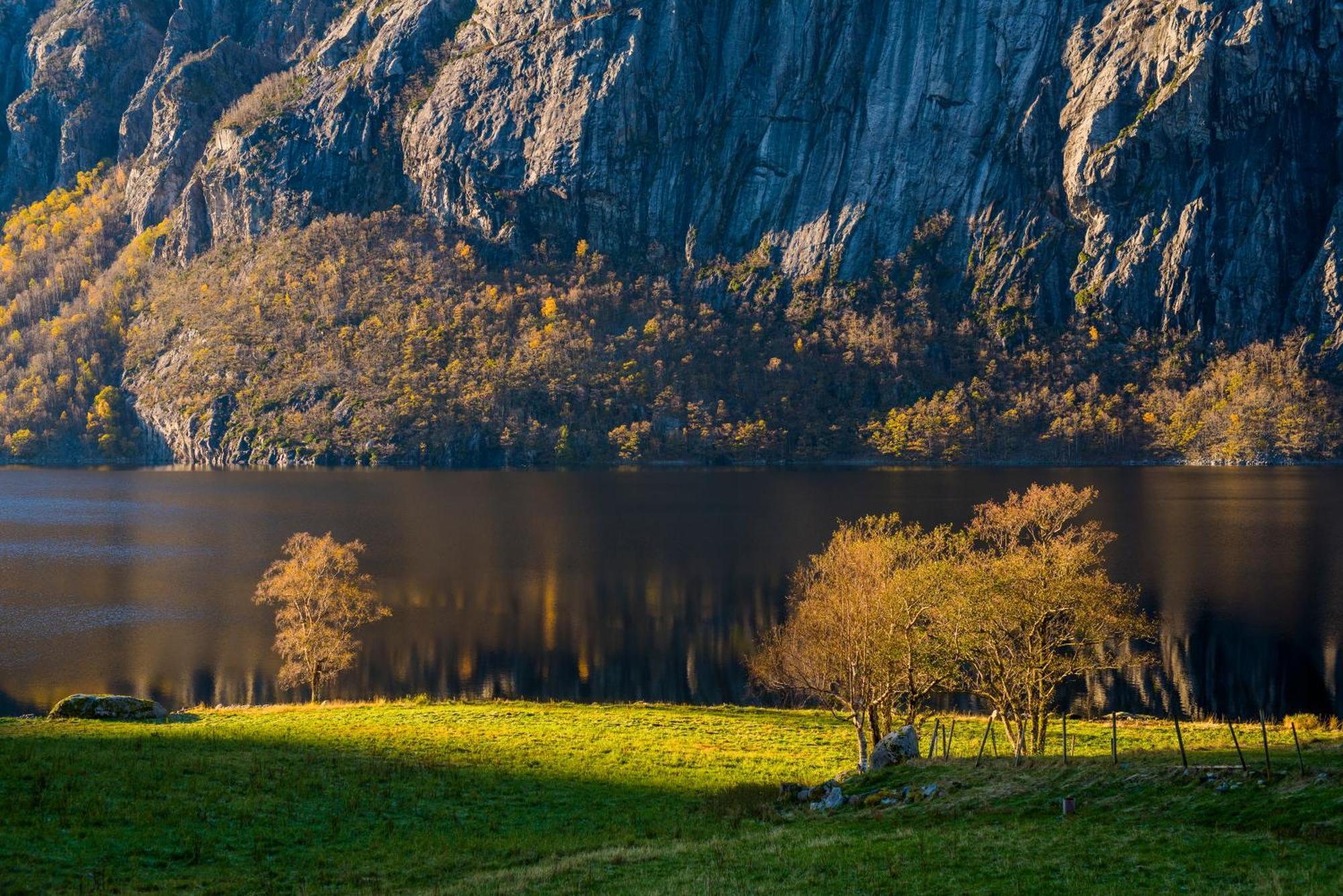 Hytte Ved Preikestolen Forsand Dış mekan fotoğraf