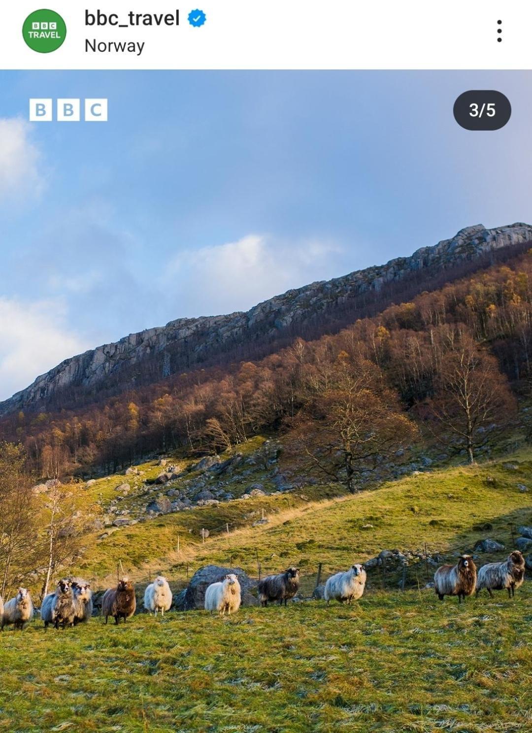 Hytte Ved Preikestolen Forsand Dış mekan fotoğraf