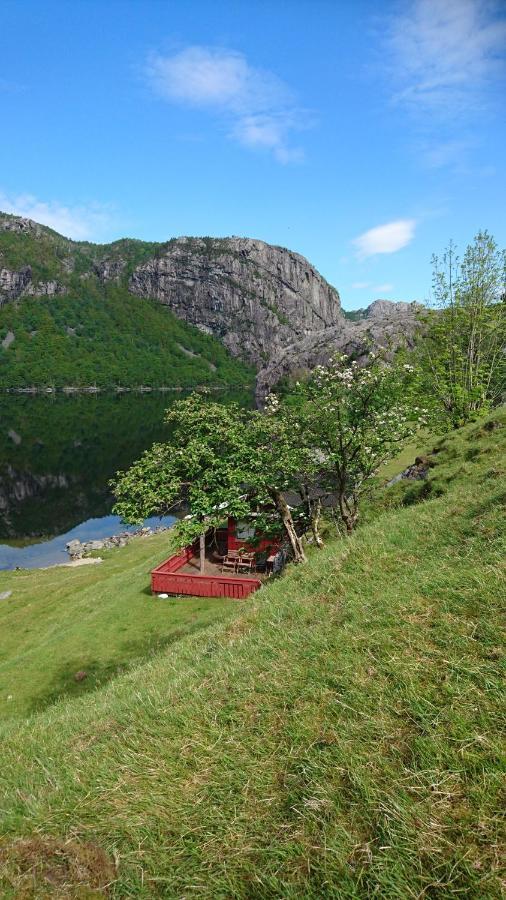 Hytte Ved Preikestolen Forsand Dış mekan fotoğraf