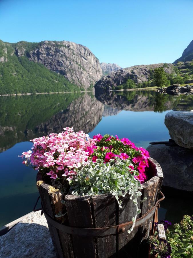 Hytte Ved Preikestolen Forsand Dış mekan fotoğraf